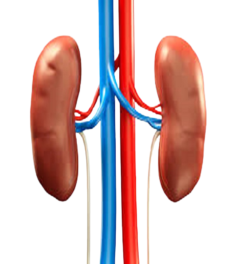 piles-treatment